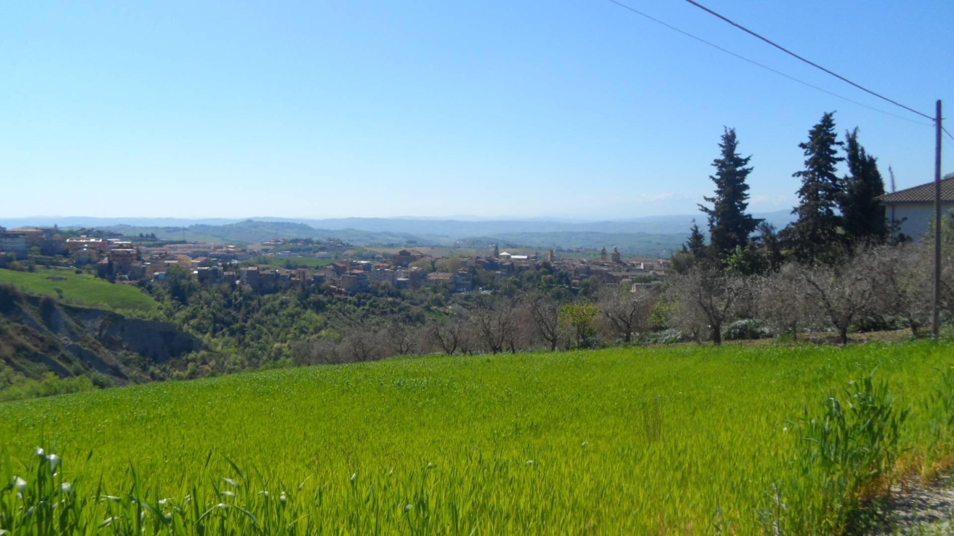 Terreno in Vendita