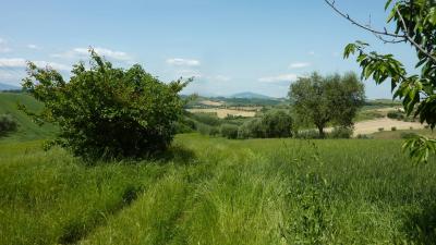 country house for sale in Monsampolo del Tronto