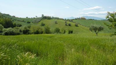 country house for sale in Monsampolo del Tronto