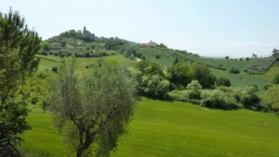 country house for sale in Monsampolo del Tronto
