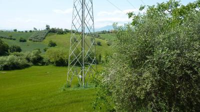 country house for sale in Monsampolo del Tronto