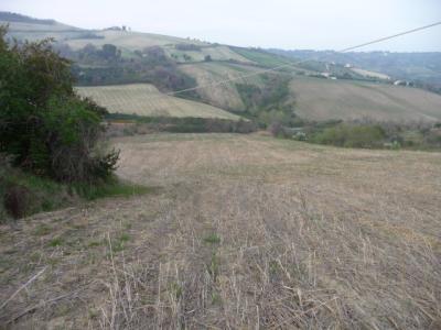 Terreno Agricolo in vendita a Acquaviva Picena