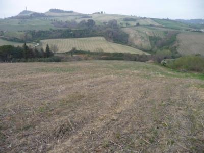 Terreno Agricolo in vendita a Acquaviva Picena