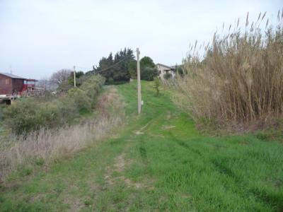 Terreno Agricolo in vendita a Acquaviva Picena