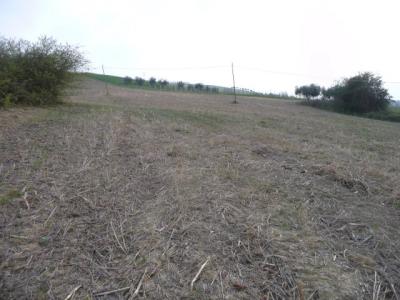 Terreno Agricolo in vendita a Acquaviva Picena