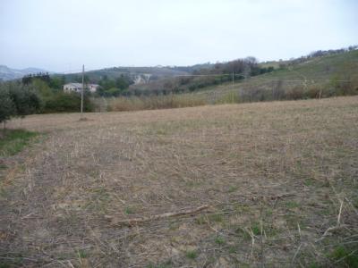 Terreno Agricolo in vendita a Acquaviva Picena