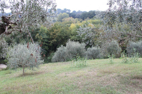 Rustico/Casale in vendita a Massignano