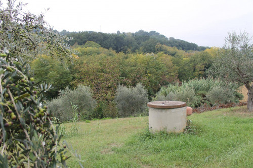 Rustico/Casale in vendita a Massignano