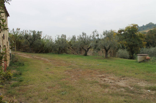 Rustico/Casale in vendita a Massignano