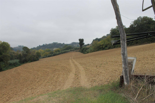 Rustico/Casale in vendita a Massignano