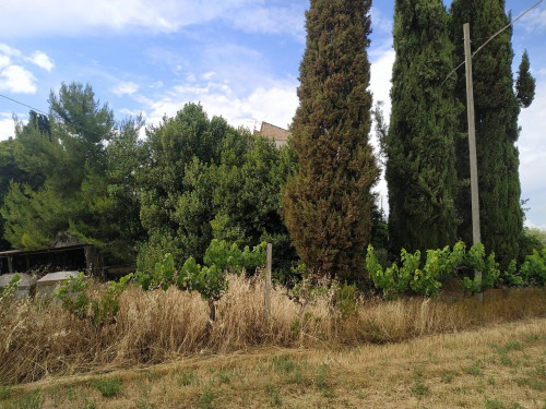 Rustico/Casale in vendita a Monteprandone