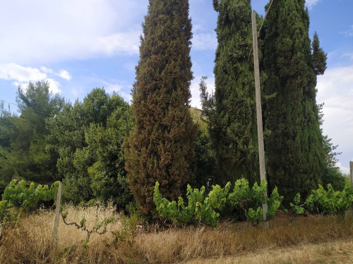 Rustico/Casale in vendita a Monteprandone