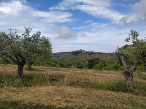 Rustico/Casale in vendita a Monteprandone
