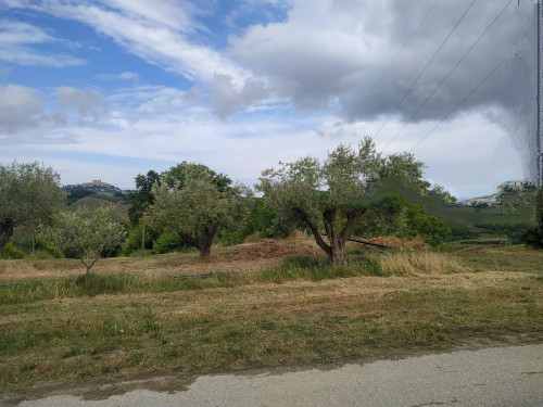 Rustico/Casale in vendita a Monteprandone