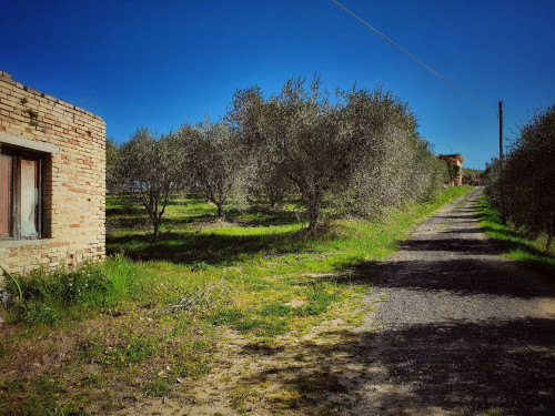 Bauernhaus zu verkauf in Castorano
