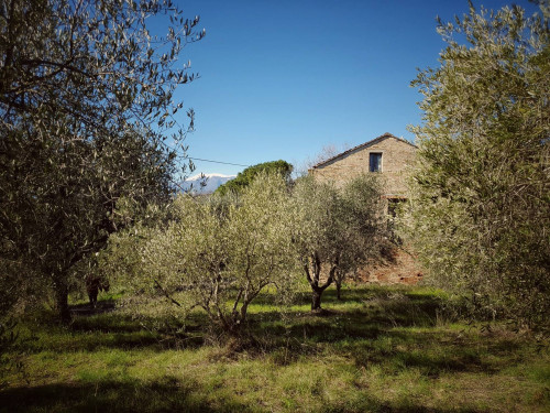 Bauernhaus zu verkauf in Castorano