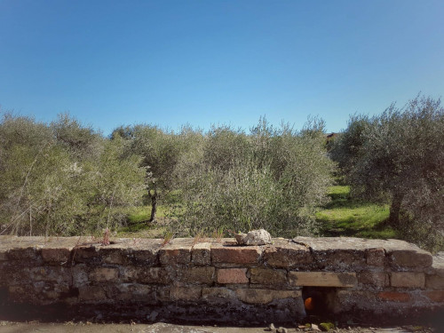 Bauernhaus zu verkauf in Castorano