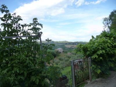 Appartamento in vendita a Monsampolo del Tronto