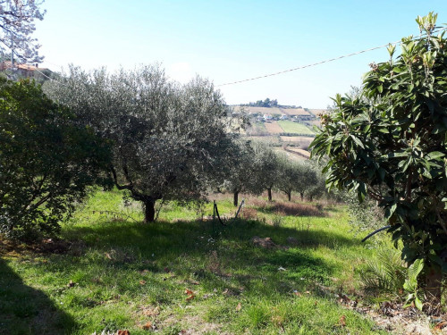 Rustico/Casale in vendita a Monsampolo del Tronto