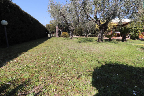 manor for sale in Grottammare