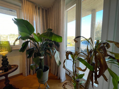 Villetta a schiera in vendita a San Benedetto del Tronto