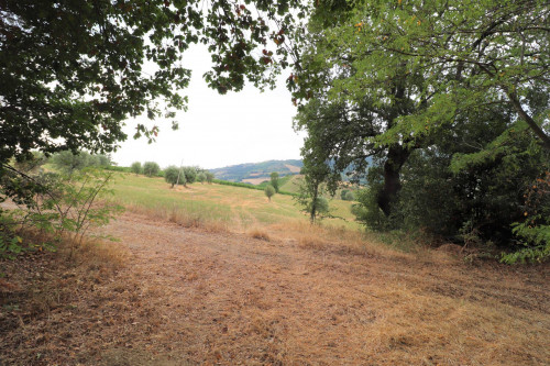 Rustico/Casale in vendita a Massignano