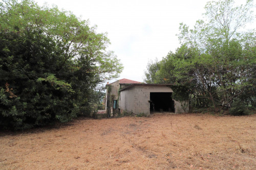 Rustico/Casale in vendita a Massignano