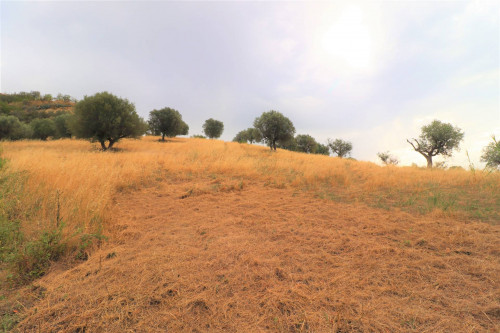 Rustico/Casale in vendita a Massignano