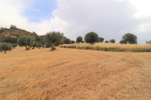 Rustico/Casale in vendita a Massignano