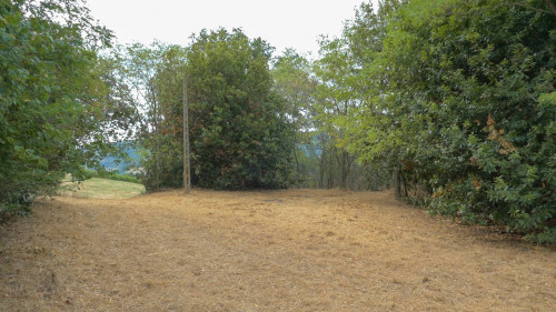 Rustico/Casale in vendita a Massignano