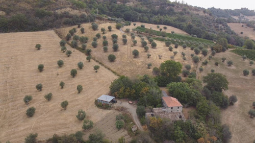 Terreno Agricolo in vendita a Massignano