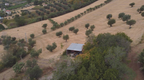 Terreno Agricolo in vendita a Massignano