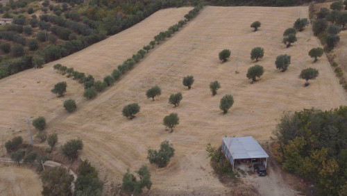 Terreno Agricolo in vendita a Massignano