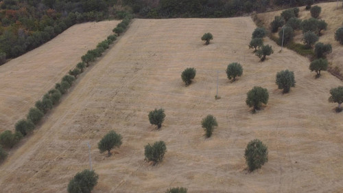 Terreno Agricolo in vendita a Massignano