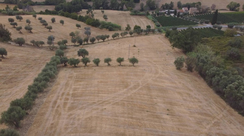 Terreno Agricolo in vendita a Massignano