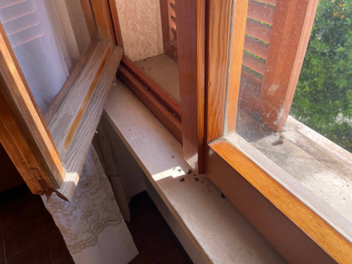 Casa indipendente in vendita a Rotella