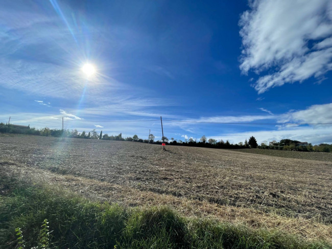 Terreno Agricolo in vendita a Offida