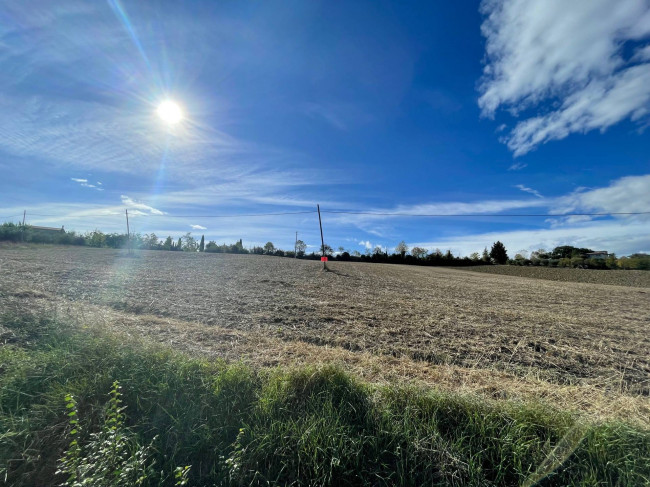 Terreno Agricolo in vendita a Offida
