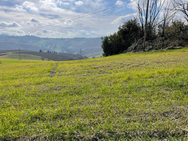 Rustico/Casale in vendita a Castignano