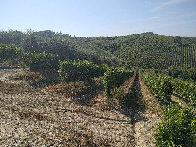 Rustico/Casale in vendita a Acquaviva Picena