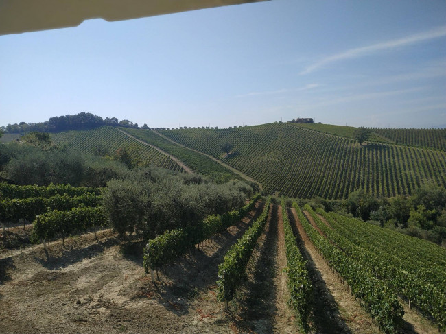 Rustico/Casale in vendita a Acquaviva Picena