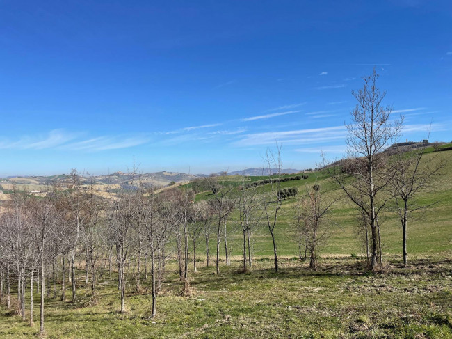 Bauernhaus zu verkauf in Castignano