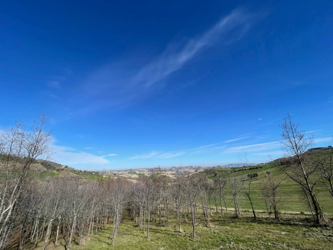 Bauernhaus zu verkauf in Castignano