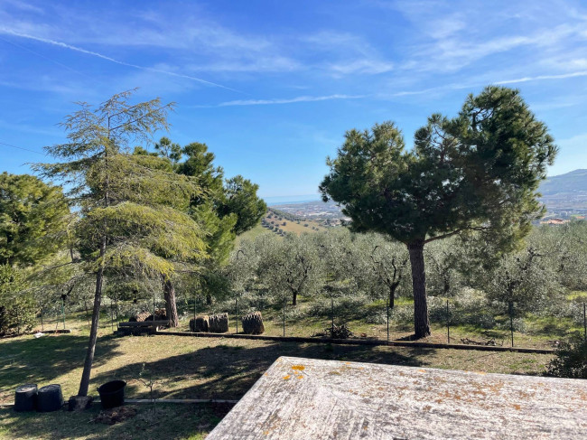 Villa in vendita a Monteprandone