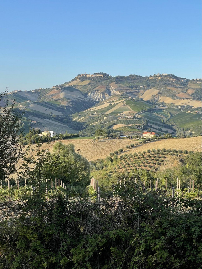 Villa in vendita a Offida