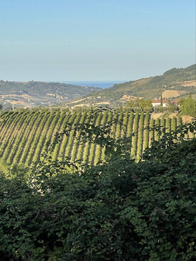 Villa in vendita a Offida