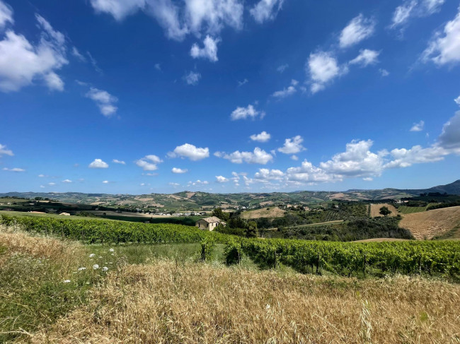 country house for sale in Offida