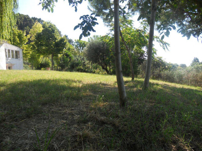 Rustico/Casale in vendita a Monteprandone