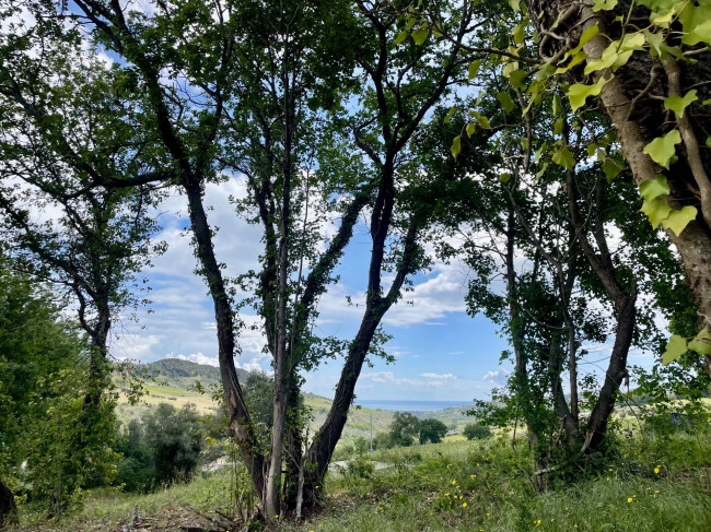 Rustico/Casale in vendita a Monteprandone