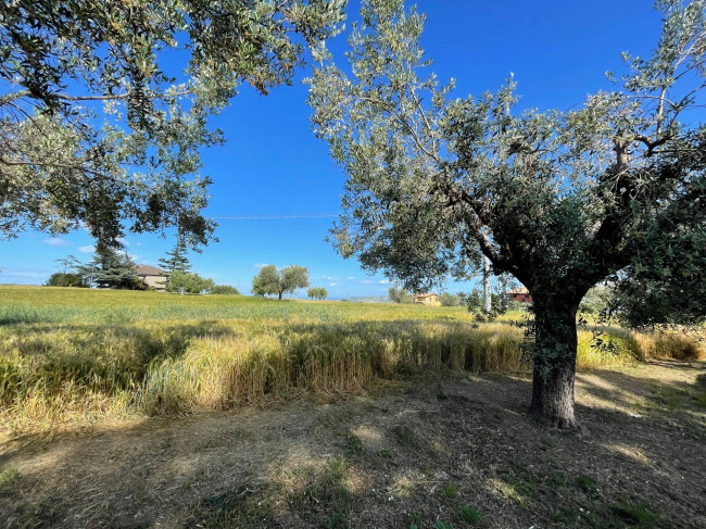 Rustico/Casale in vendita a Corropoli